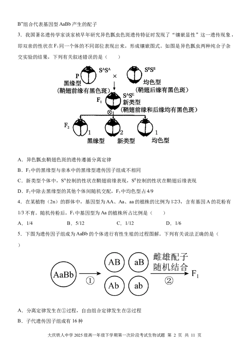 《大庆铁人中学2025级高一年级下学期第一阶段考试生物试题_2024-2027高一（7-7月题库）_2026年05月高一试卷_260508黑龙江省大庆铁人中学2025-2026学年高一下学期第一次阶段考试（全）》第2页预览