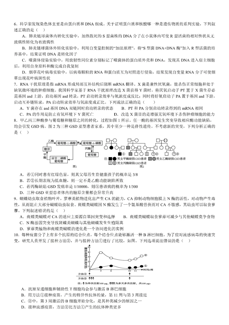 《成都七中周测（5月16日）生物试题卷_2024-2027高三（6-6月题库）_2026年05月高三试卷_260518四川省成都市第七中学2025~2026学年度下期高2026届高三年级5月周测练习》第2页预览
