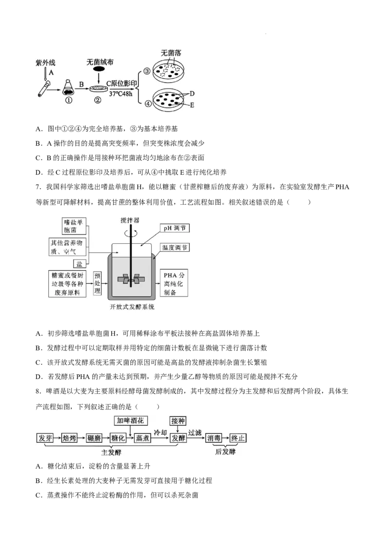 《安徽芜湖市安徽师范大学附属中学2025~2026学年度第二学期期中考查高二生物试题_2024-2027高二（7-7月题库）_2026年05月高二试卷》第3页预览