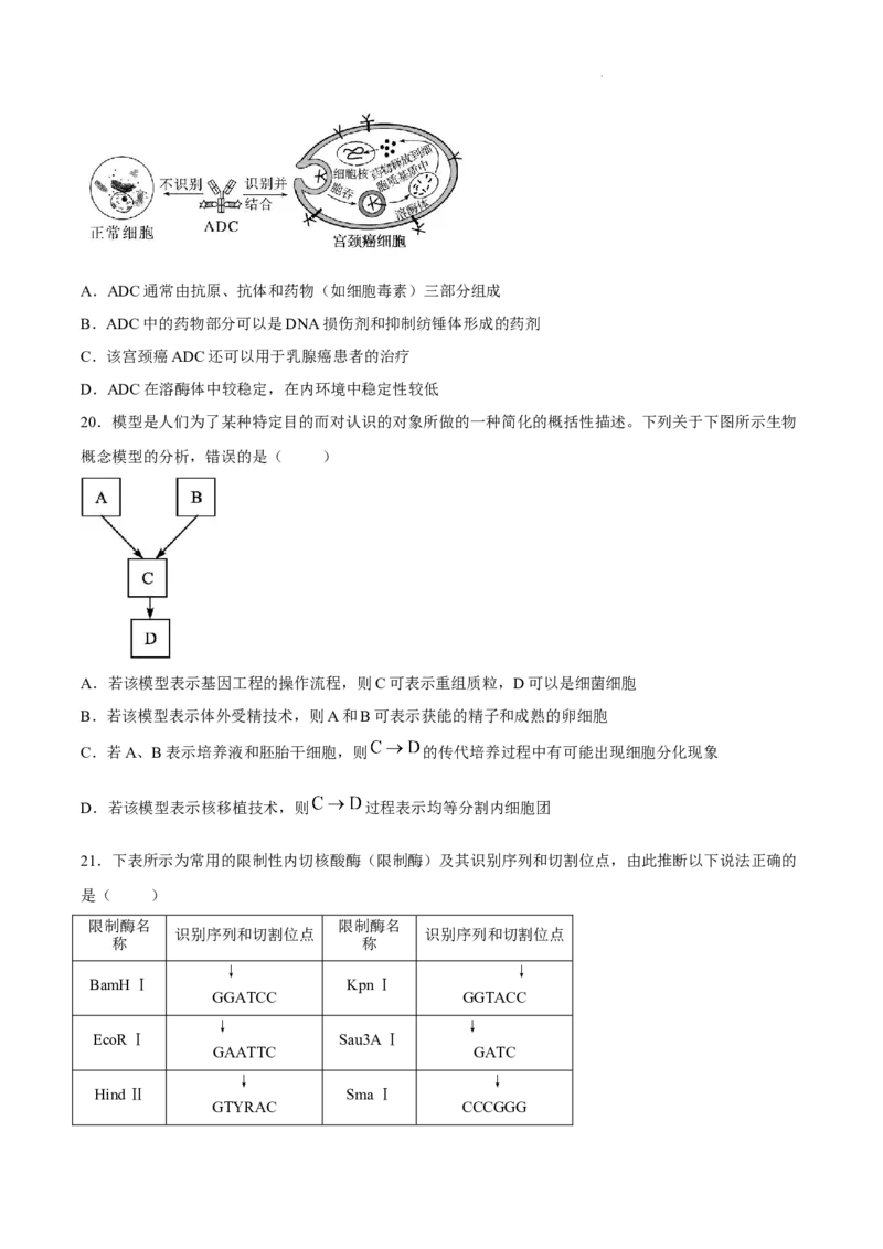 《安徽芜湖市安徽师范大学附属中学2025~2026学年度第二学期期中考查高二生物试题_2024-2027高二（7-7月题库）_2026年05月高二试卷》第8页预览