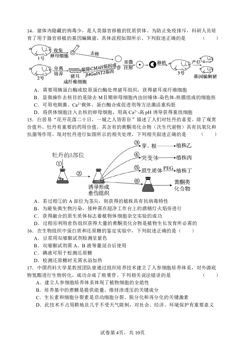 《哈三中2025-2026学年度下学期高二学年6月月考生物_2024-2027高二（7-7月题库）_2026年06月高二试卷_260612黑龙江省哈尔滨市第三中学2025-2026学年度下学期高二学年6月月考（全）》第4页预览
