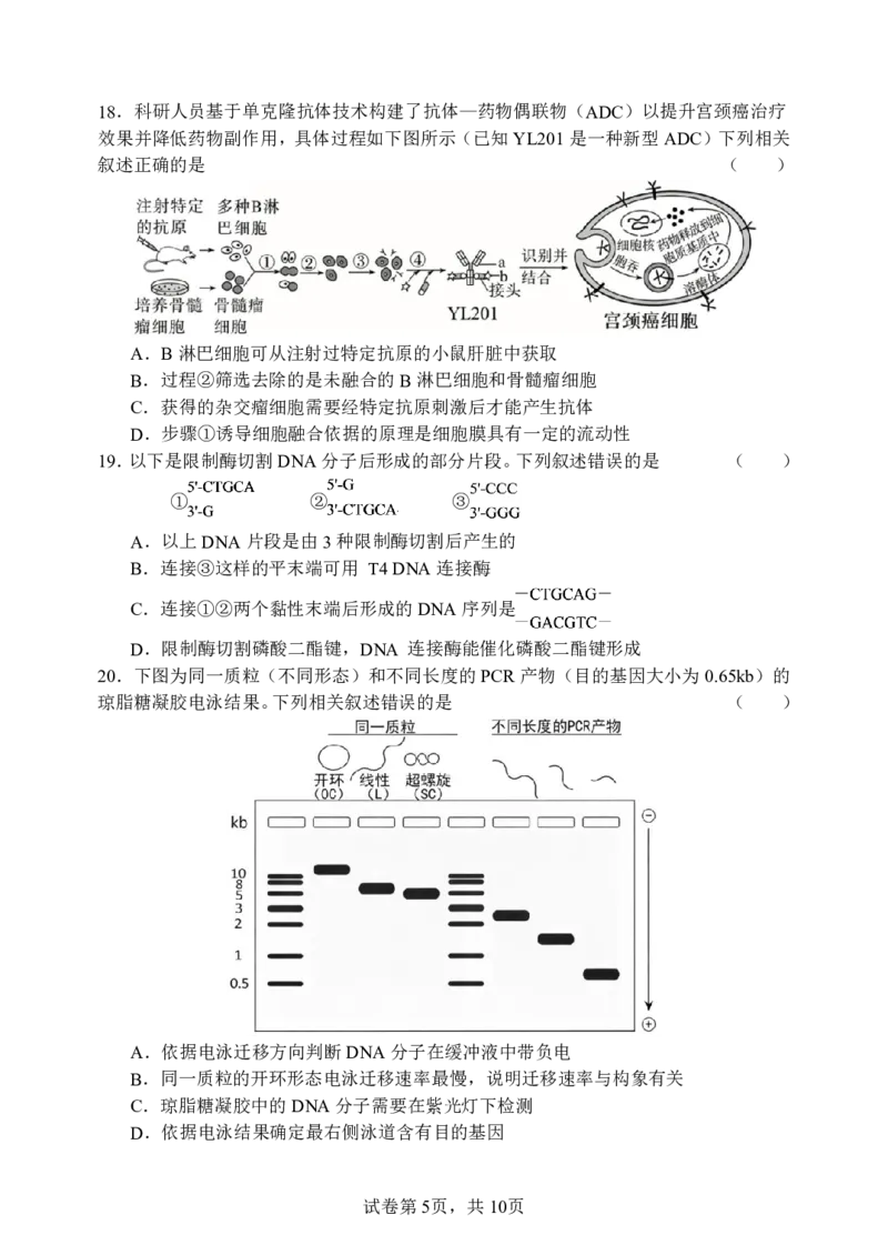 《哈三中2025-2026学年度下学期高二学年6月月考生物_2024-2027高二（7-7月题库）_2026年06月高二试卷_260612黑龙江省哈尔滨市第三中学2025-2026学年度下学期高二学年6月月考（全）》第5页预览