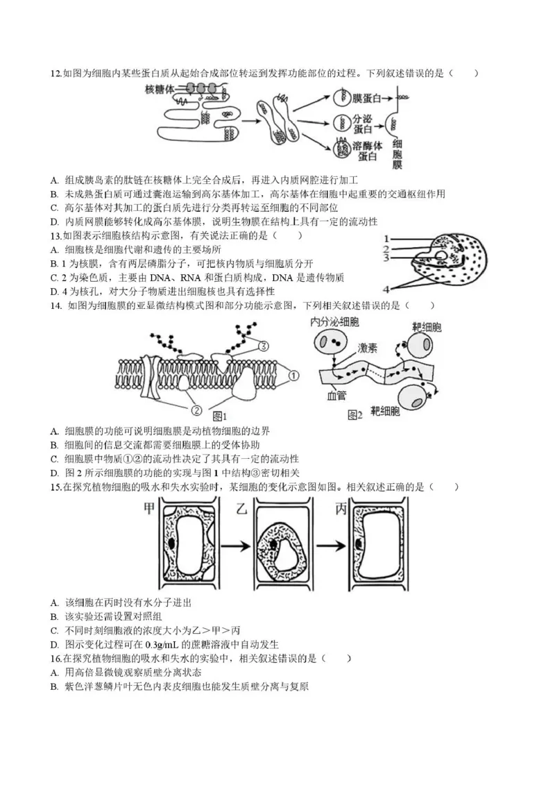 《云南省玉溪师范学院附属中学2025-2026学年高一上学期12月月考生物试卷_2026年高一《月考+期中考+阶段性检测真题合集》全国各省全科无水印》第3页预览