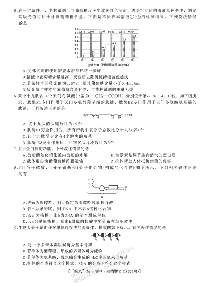 《安徽省“皖南八校”2025-2026学年高一上学期期中考试生物PDF版含解析_2026年高一《月考+期中考+阶段性检测真题合集》全国各省全科无水印》第2页预览
