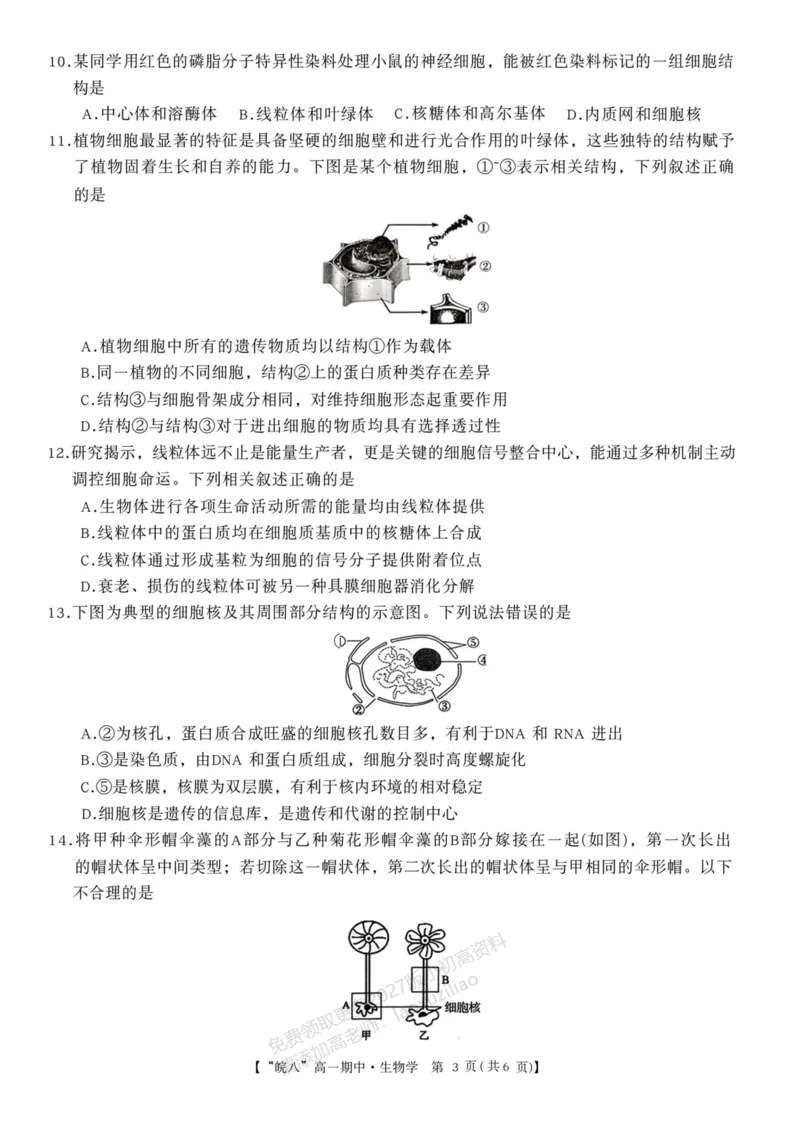 《安徽省“皖南八校”2025-2026学年高一上学期期中考试生物PDF版含解析_2026年高一《月考+期中考+阶段性检测真题合集》全国各省全科无水印》第3页预览