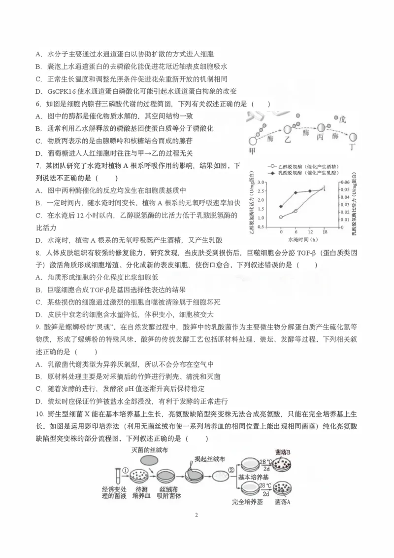 《成都外国语学校2025—2026学年度高二下期零诊模拟考试生物_扫描版_2024-2027高二（7-7月题库）_2026年06月高二试卷》第2页预览
