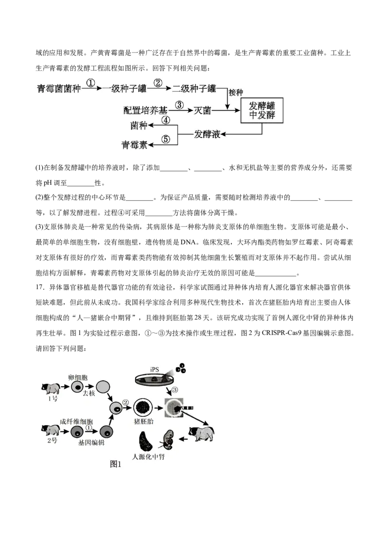 《四川省字节精准教育联盟2025-2026学年高二下学期6月阶段检测生物试卷（含答案）_2024-2027高二（7-7月题库）_2026年06月高二试卷》第5页预览