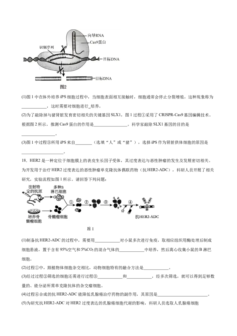 《四川省字节精准教育联盟2025-2026学年高二下学期6月阶段检测生物试卷（含答案）_2024-2027高二（7-7月题库）_2026年06月高二试卷》第6页预览