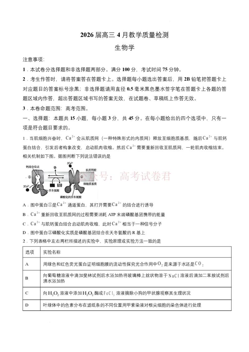《试卷2026届安徽郎溪中学等校高三4月教学质量检测生物学_12.2026年4月全国各地高考模拟卷_2026年4月_安徽皖南八校4月质检2026年安徽皖南八校高三下学期4月教学质量检测全科》第1页预览