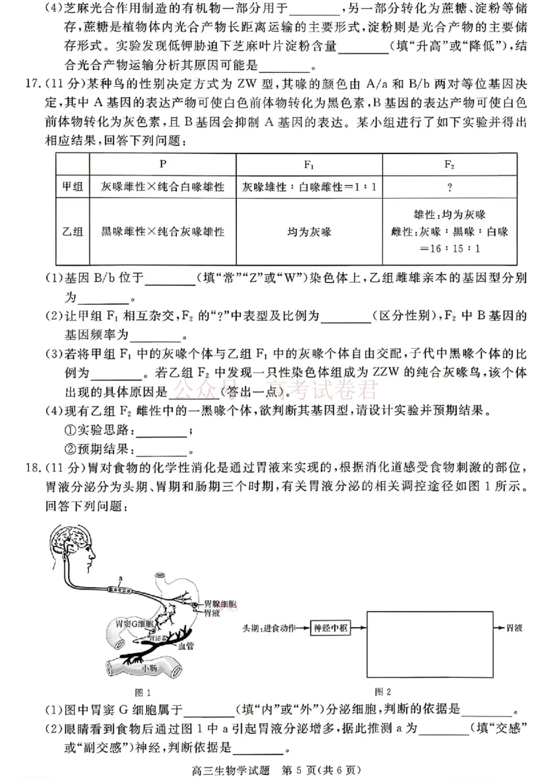 《安徽华师联盟2025-2026学年高三第二学期4月质量检测生物试题（含答案）_副本_12.2026年4月全国各地高考模拟卷_2026年4月_06生物_安徽华师联盟高三第二学期4月质量检测》第5页预览