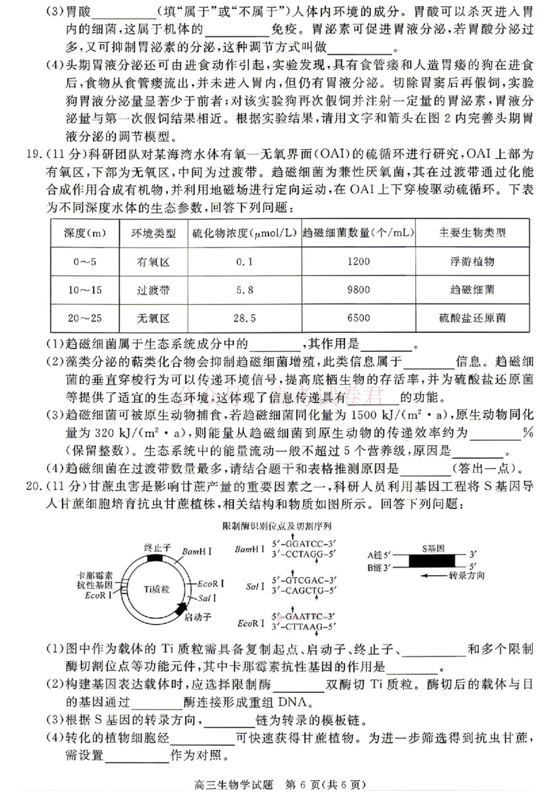 《安徽华师联盟2025-2026学年高三第二学期4月质量检测生物试题（含答案）_副本_12.2026年4月全国各地高考模拟卷_2026年4月_06生物_安徽华师联盟高三第二学期4月质量检测》第6页预览