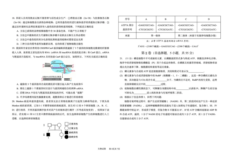 《哈九中2025-2026学年度高三下学期第四次模拟考试生物_2024-2027高三(6-6月题库)_2026年05月高三试卷_260524黑龙江省哈九中2025-2026学年度高三下学期第四次模拟考试(全科)》第4页预览