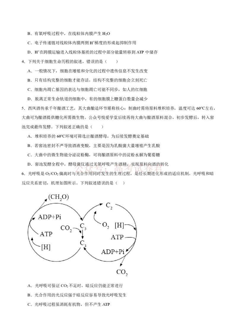 《西北工业大学附属中学2026届高三下学期第十一次适应性训练生物试卷（含答案）_副本_12.2026年4月全国各地高考模拟卷_2026年4月_2026年陕西省西北工大附中高三下学期第十一次适应性训练》第2页预览