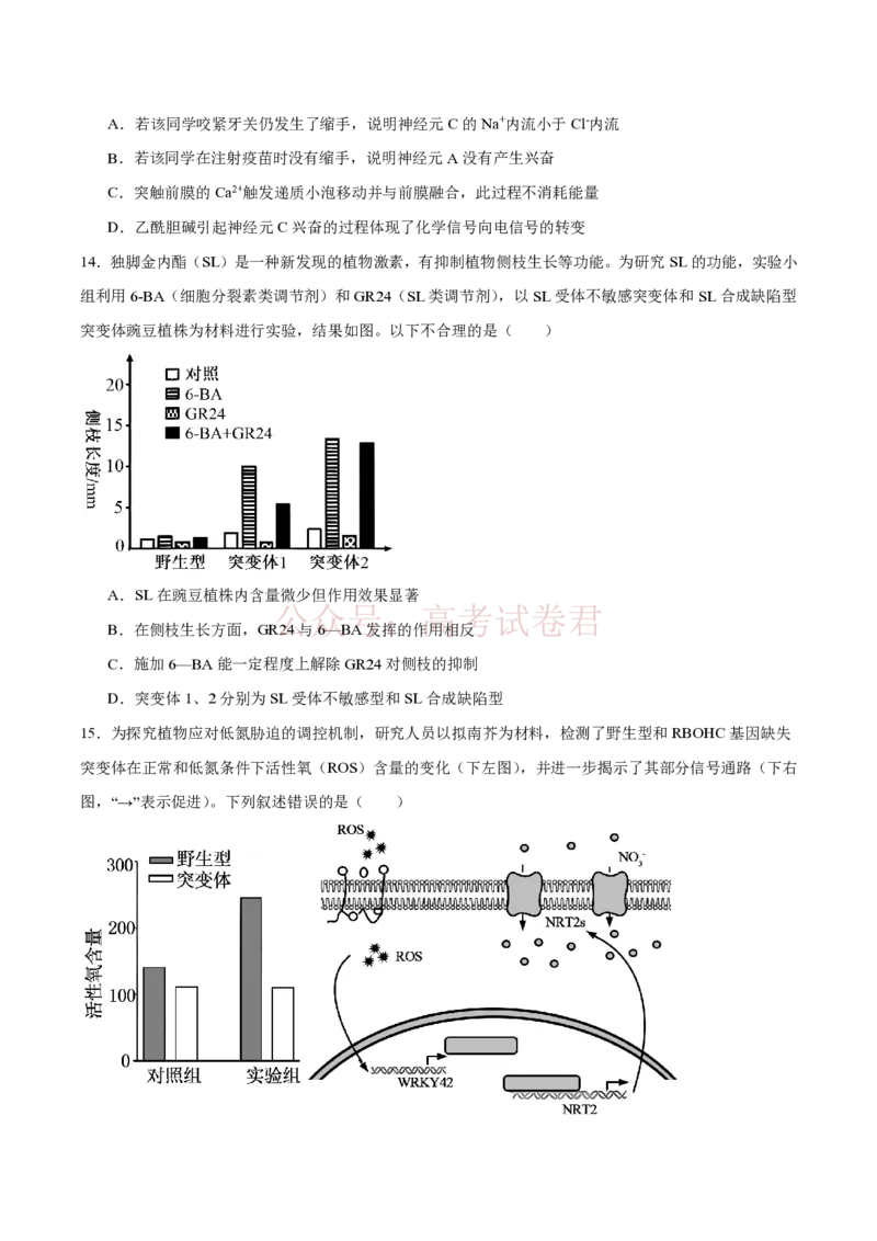 《西北工业大学附属中学2026届高三下学期第十一次适应性训练生物试卷（含答案）_副本_12.2026年4月全国各地高考模拟卷_2026年4月_2026年陕西省西北工大附中高三下学期第十一次适应性训练》第5页预览