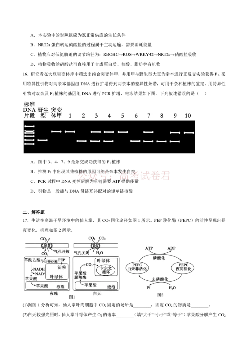 《西北工业大学附属中学2026届高三下学期第十一次适应性训练生物试卷（含答案）_副本_12.2026年4月全国各地高考模拟卷_2026年4月_2026年陕西省西北工大附中高三下学期第十一次适应性训练》第6页预览