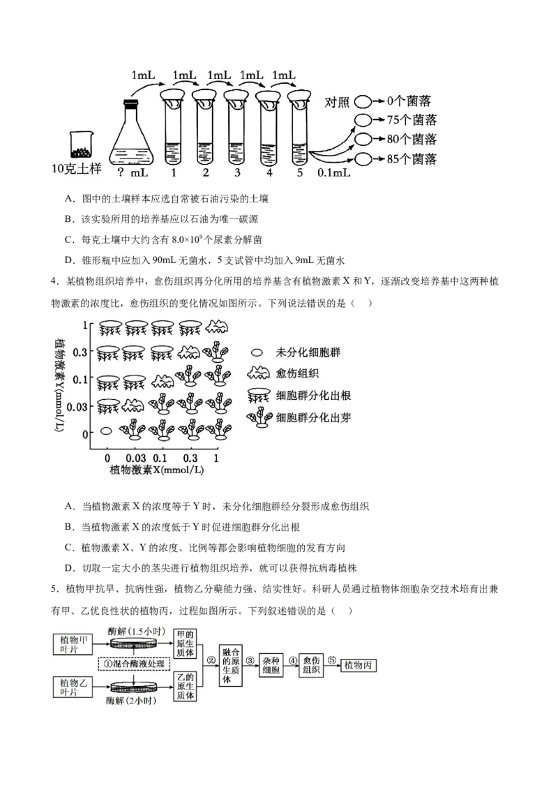 《山东省泰安第一中学2025-2026学年高二下学期4月学情检测试题生物Word版含答案_2024-2027高二（7-7月题库）_2026年05月高二试卷》第2页预览