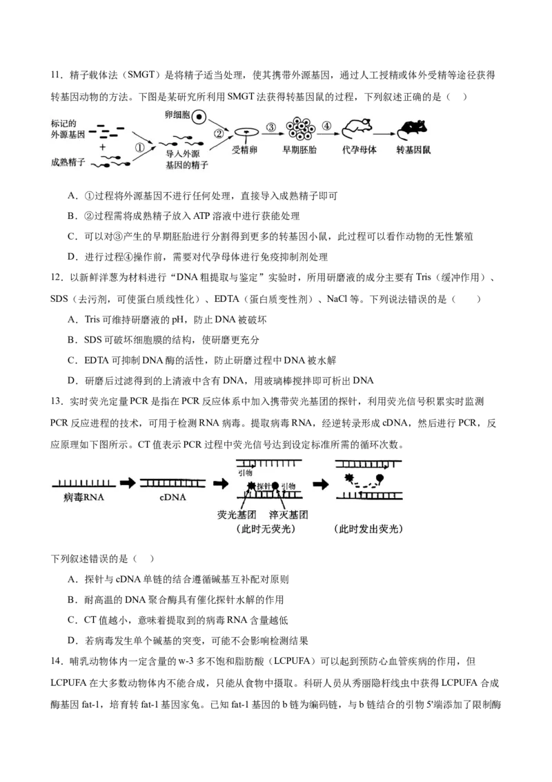 《山东省泰安第一中学2025-2026学年高二下学期4月学情检测试题生物Word版含答案_2024-2027高二（7-7月题库）_2026年05月高二试卷》第5页预览