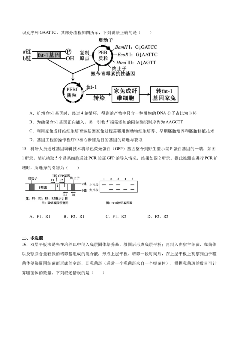《山东省泰安第一中学2025-2026学年高二下学期4月学情检测试题生物Word版含答案_2024-2027高二（7-7月题库）_2026年05月高二试卷》第6页预览