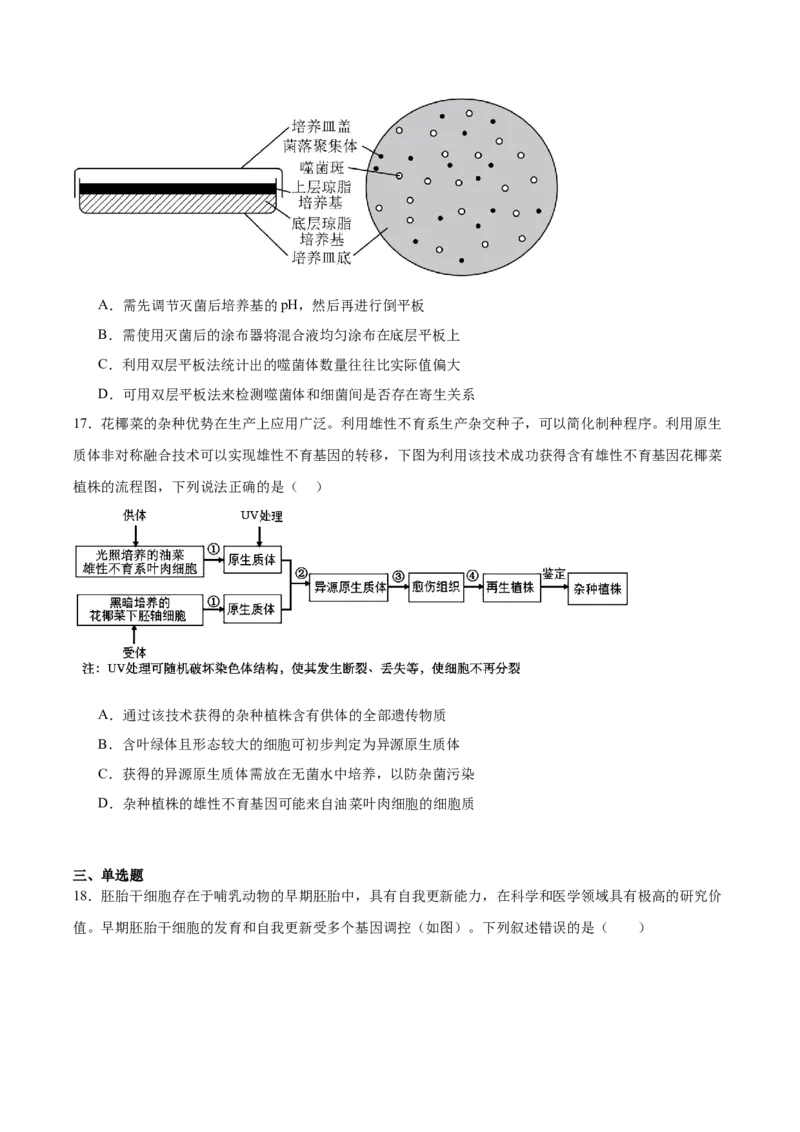 《山东省泰安第一中学2025-2026学年高二下学期4月学情检测试题生物Word版含答案_2024-2027高二（7-7月题库）_2026年05月高二试卷》第7页预览