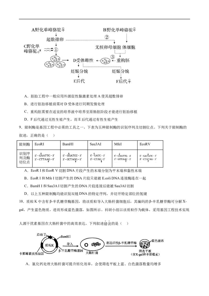 《山西省运城市2025-2026学年高二下学期5月份过程性素质评价生物试卷（含答案）_2024-2027高二（7-7月题库）_2026年06月高二试卷》第3页预览
