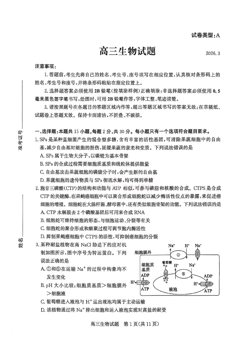 《山东省滨州市2026届高三年级一模考试生物_12.2026年4月全国各地高考模拟卷_2026届山东省滨州市高三一模考试_06生物2026届山东省滨州市高三一模考试》第1页预览