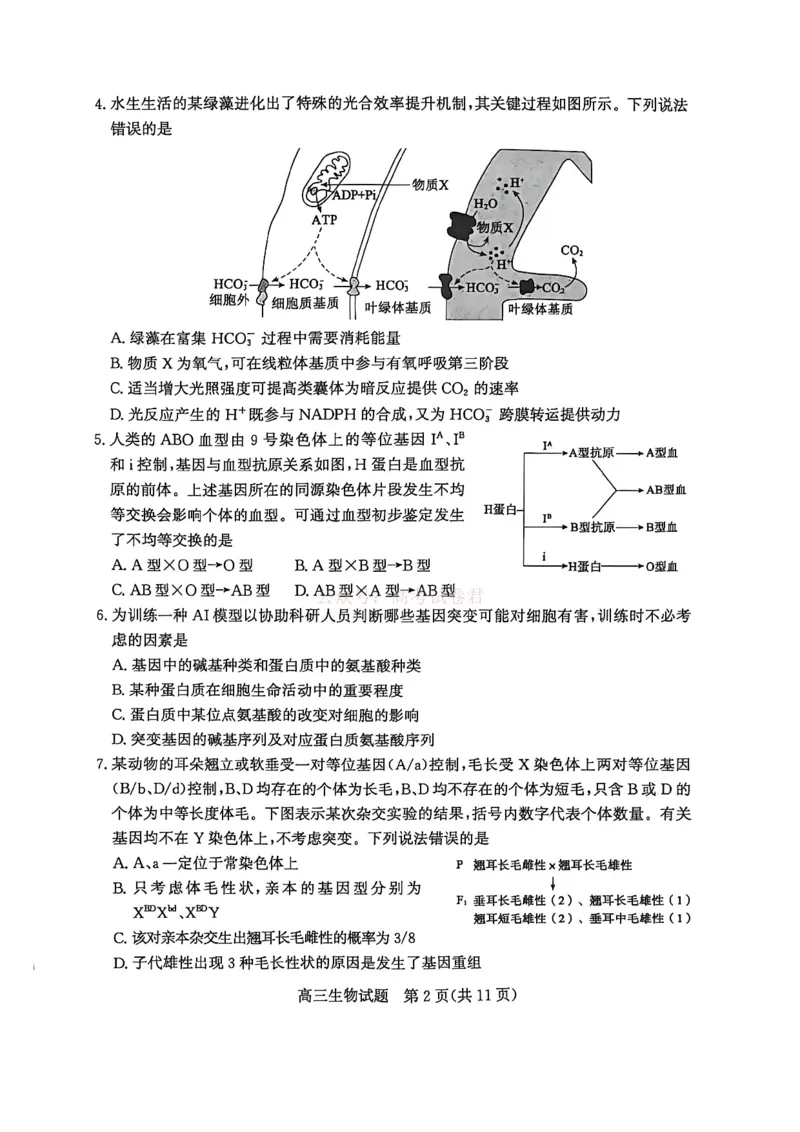 《山东省滨州市2026届高三年级一模考试生物_12.2026年4月全国各地高考模拟卷_2026届山东省滨州市高三一模考试_06生物2026届山东省滨州市高三一模考试》第2页预览