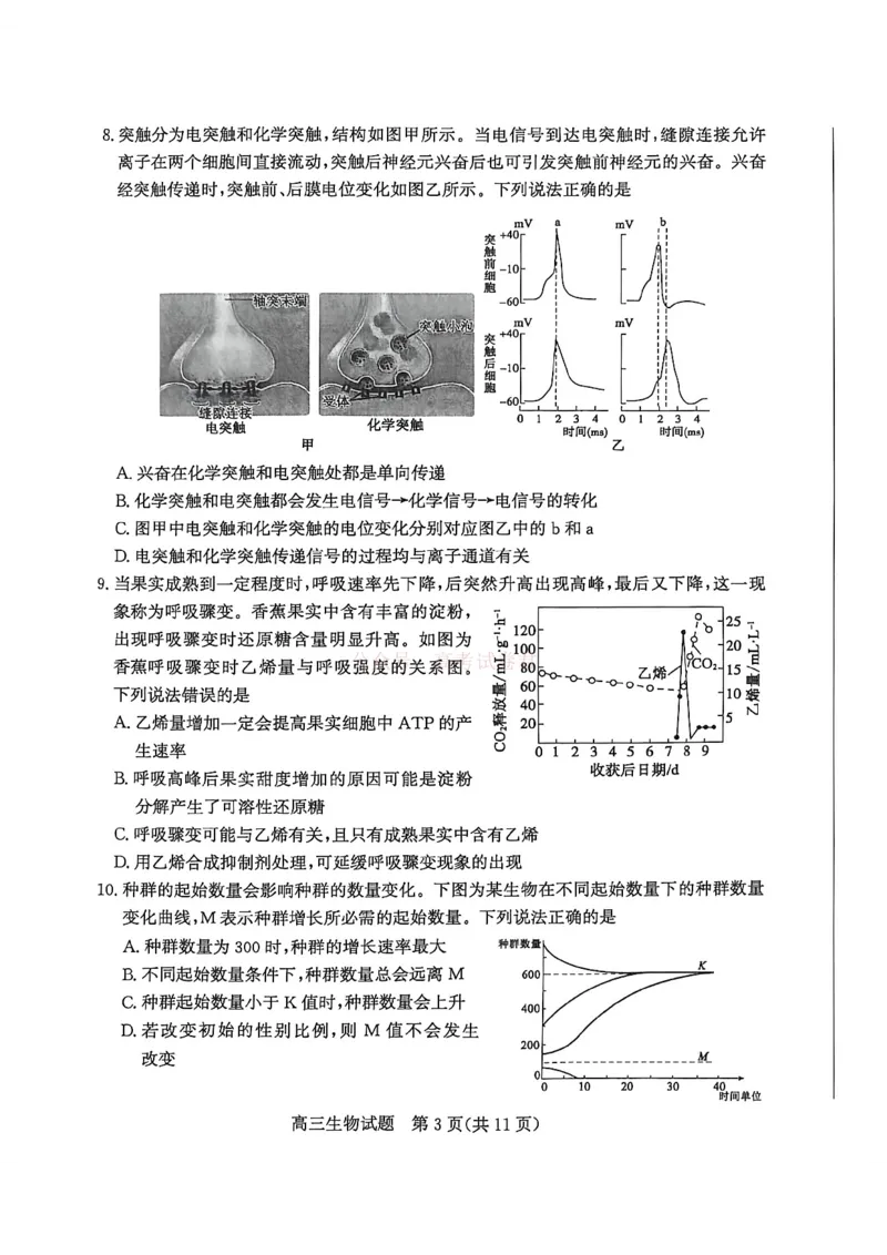 《山东省滨州市2026届高三年级一模考试生物_12.2026年4月全国各地高考模拟卷_2026届山东省滨州市高三一模考试_06生物2026届山东省滨州市高三一模考试》第4页预览