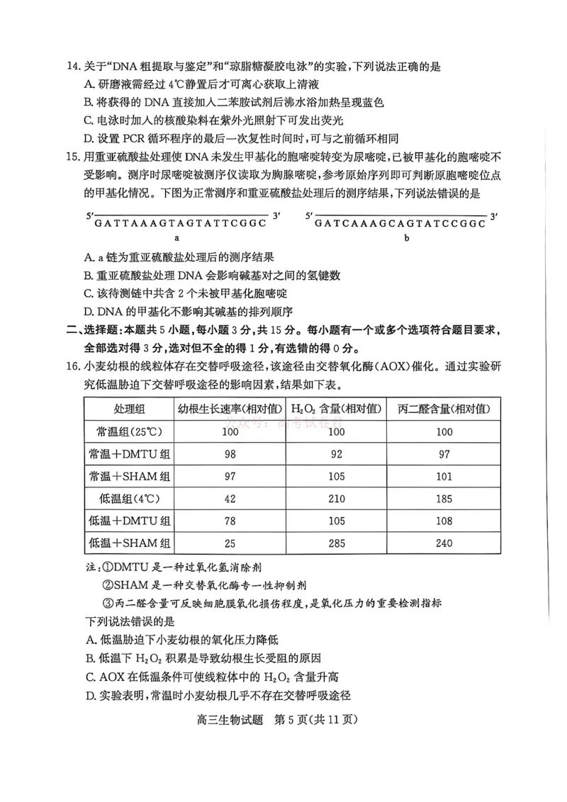 《山东省滨州市2026届高三年级一模考试生物_12.2026年4月全国各地高考模拟卷_2026届山东省滨州市高三一模考试_06生物2026届山东省滨州市高三一模考试》第5页预览