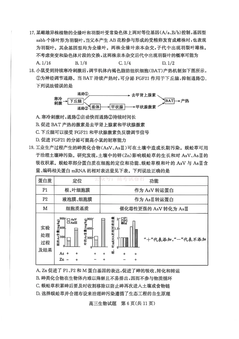 《山东省滨州市2026届高三年级一模考试生物_12.2026年4月全国各地高考模拟卷_2026届山东省滨州市高三一模考试_06生物2026届山东省滨州市高三一模考试》第6页预览