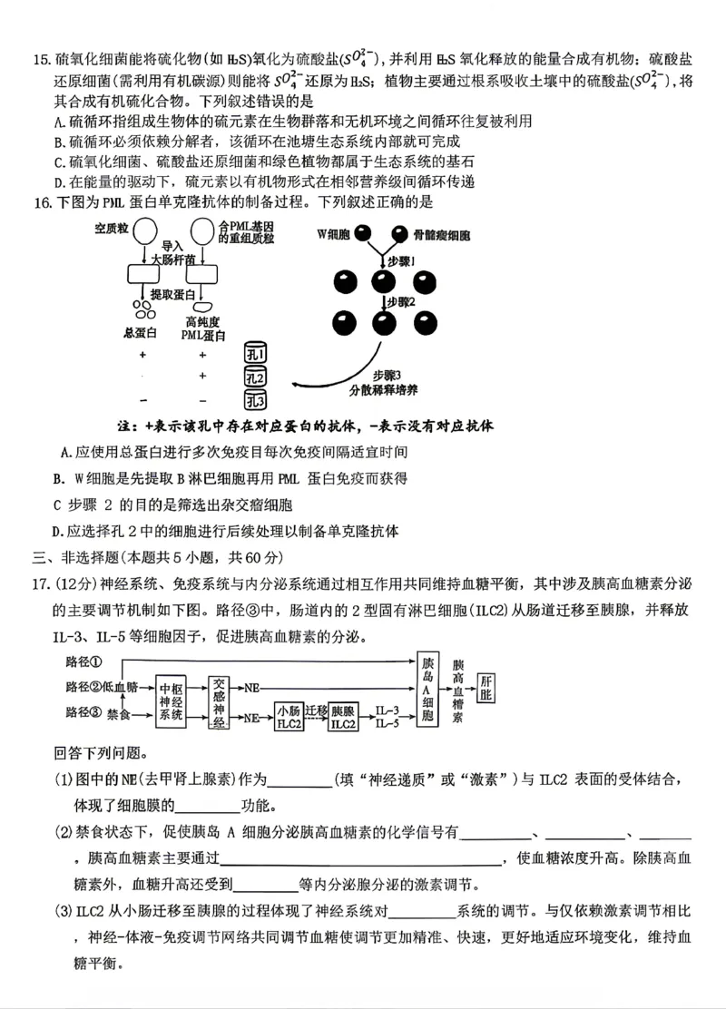《生物试卷-湖南师范大学附属中学2025-2026学年高二下学期5月期中考试_2024-2027高二(7-7月题库)_2026年05月高二试卷_260519湖南师范大学附属中学2025-2026学年高二下学期5月期中考试(全)》第4页预览