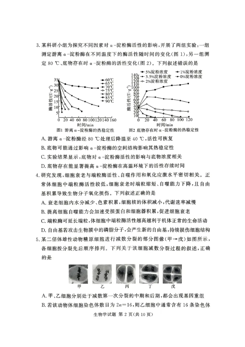 《河南湘豫大联考2025-2026学年高二下学期6月阶段检测生物试题_2024-2027高二（7-7月题库）_2026年06月高二试卷_260619河南湘豫大联考2025-2026学年高二下学期6月阶段检测》第2页预览
