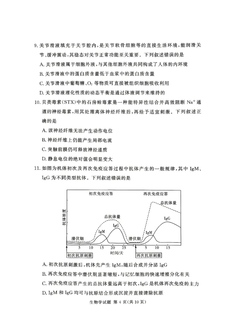 《河南湘豫大联考2025-2026学年高二下学期6月阶段检测生物试题_2024-2027高二（7-7月题库）_2026年06月高二试卷_260619河南湘豫大联考2025-2026学年高二下学期6月阶段检测》第4页预览