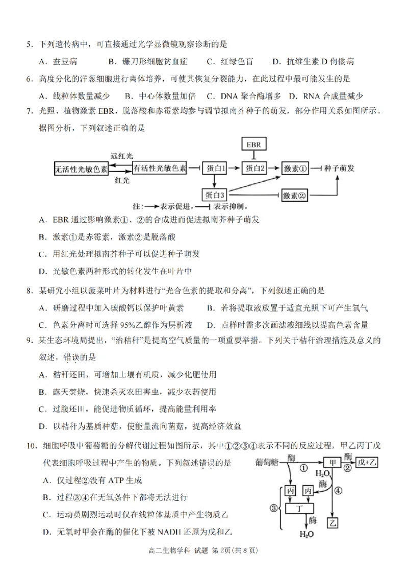 《生物卷-2605高二桐浦富兴_2024-2027高二（7-7月题库）_2026年06月高二试卷_260604浙江省桐浦富兴教研联盟2025-2026学年高二下学期5月阶段检测（全）》第2页预览