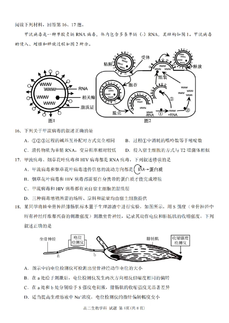 《生物卷-2605高二桐浦富兴_2024-2027高二（7-7月题库）_2026年06月高二试卷_260604浙江省桐浦富兴教研联盟2025-2026学年高二下学期5月阶段检测（全）》第4页预览