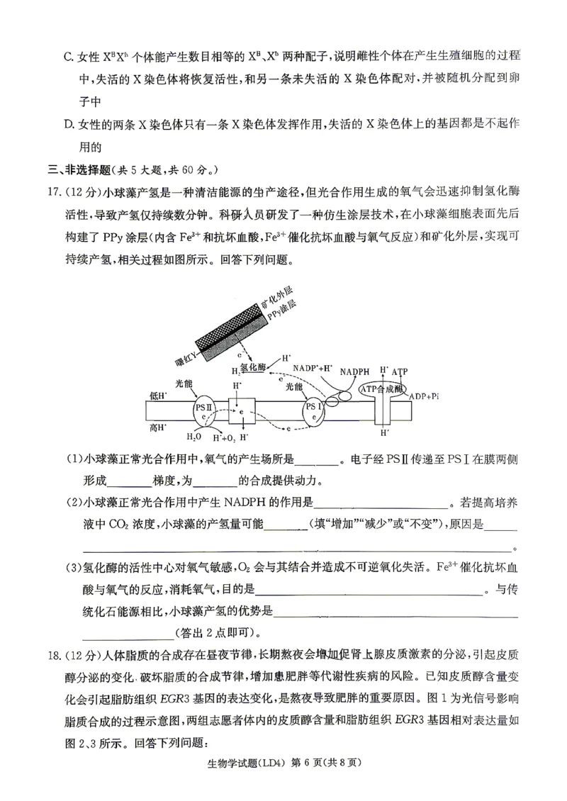 《生物-湖南衡阳市2026届高三下学期第二次联考_2024-2027高三（6-6月题库）_2026年05月高三试卷_260503湖南衡阳市2026届高三下学期第二次联考》第6页预览