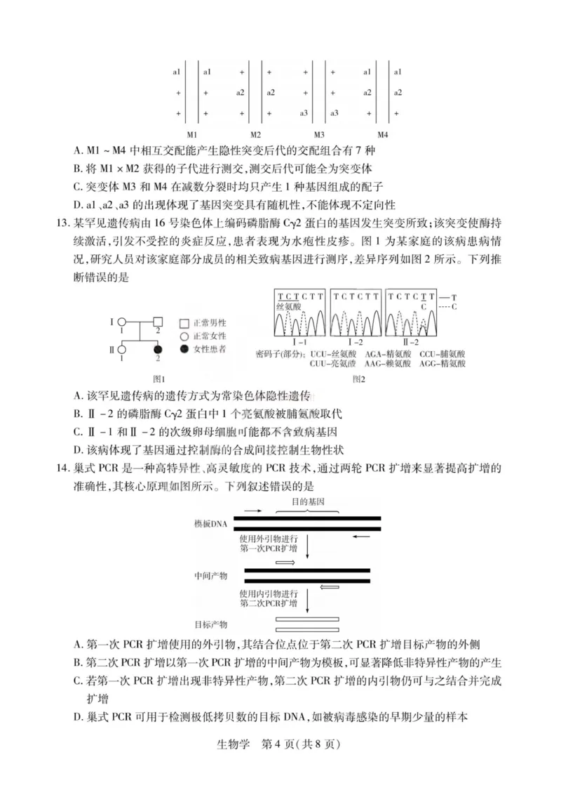 《生物-2026山西高三小高考五(素质评价)_12.2026年4月全国各地高考模拟卷_2026年4月_2026年山西省天一小高考高三4月素质评价_06生物_山西省天一小高考高三4月素质评价》第4页预览