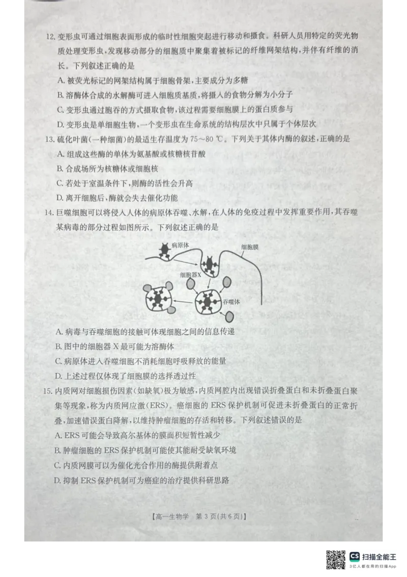 《桂林、贵港2025-12月联考高一生物试卷_2026年高一《月考+期中考+阶段性检测真题合集》全国各省全科无水印_广西壮族自治区贵港市、桂林市2026学年高一上学期12月月考》第3页预览