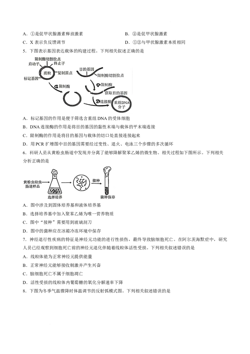 《浙江省A9协作体2025-2026学年高二下学期期中联考生物试卷_2024-2027高二（7-7月题库）_2026年05月高二试卷_260514浙江省A9协作体2025-2026学年高二下学期期中联考（全）》第2页预览