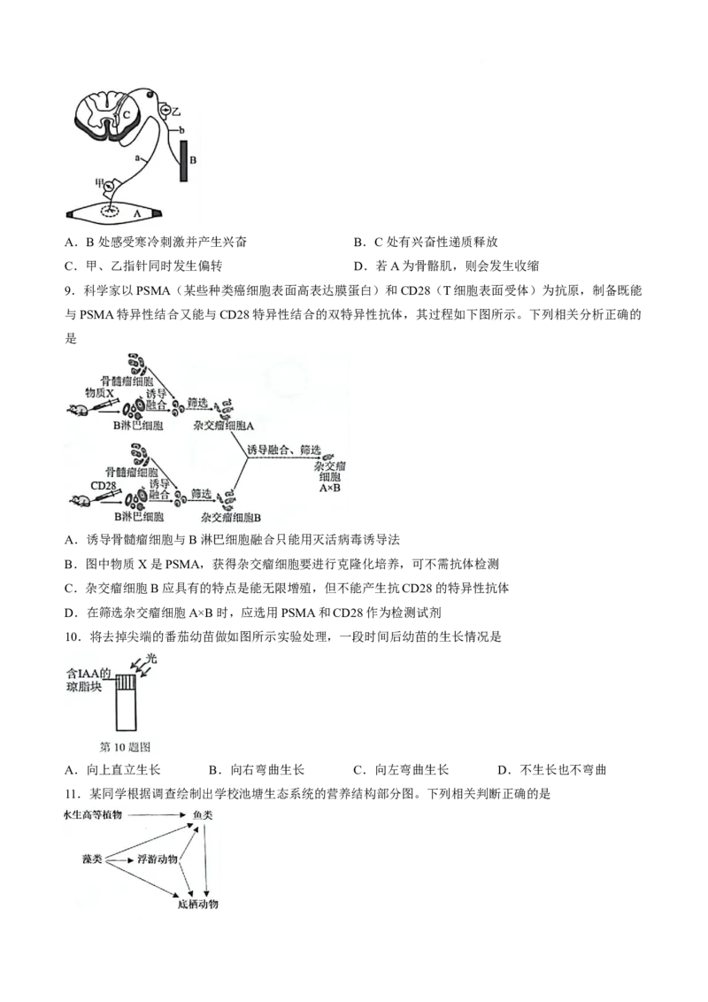 《浙江省A9协作体2025-2026学年高二下学期期中联考生物试卷_2024-2027高二（7-7月题库）_2026年05月高二试卷_260514浙江省A9协作体2025-2026学年高二下学期期中联考（全）》第3页预览