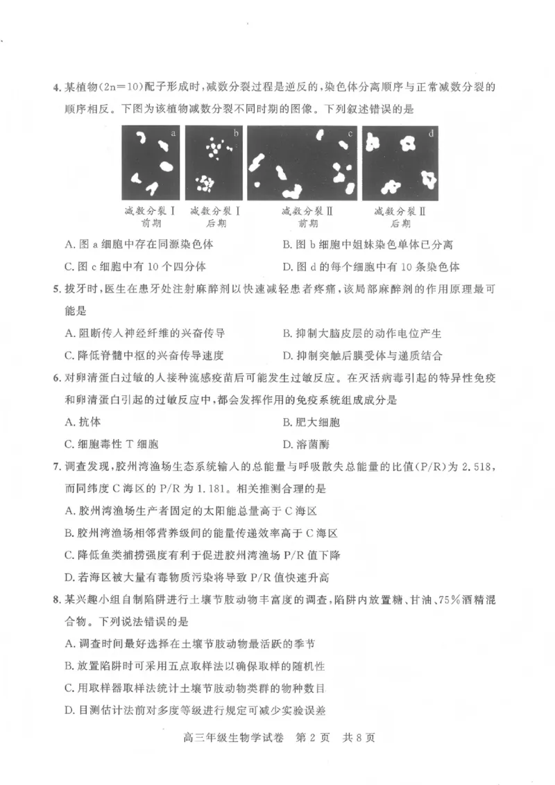 《生物试卷_2024-2027高三（6-6月题库）_2026年05月高三试卷_260516湖北省武汉市武昌区2026届高三年级五月供题（全科）_2026届湖北武昌区高三下学期5月供题生物试卷+答案》第2页预览