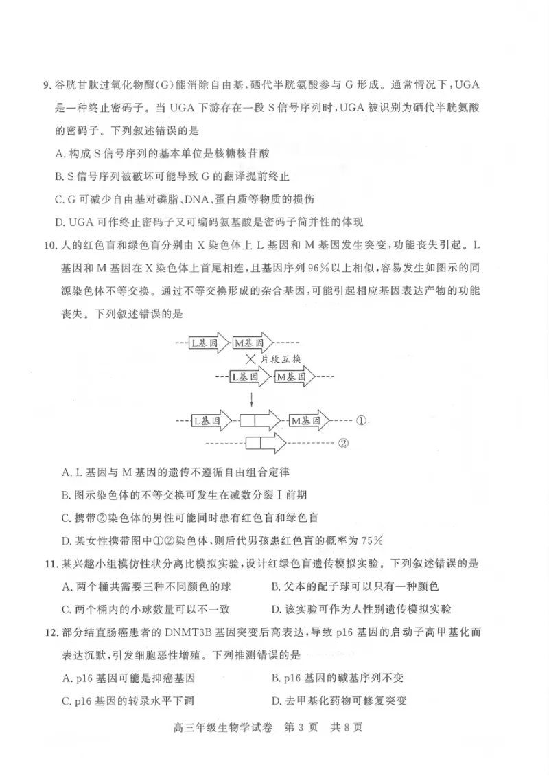 《生物试卷_2024-2027高三（6-6月题库）_2026年05月高三试卷_260516湖北省武汉市武昌区2026届高三年级五月供题（全科）_2026届湖北武昌区高三下学期5月供题生物试卷+答案》第3页预览