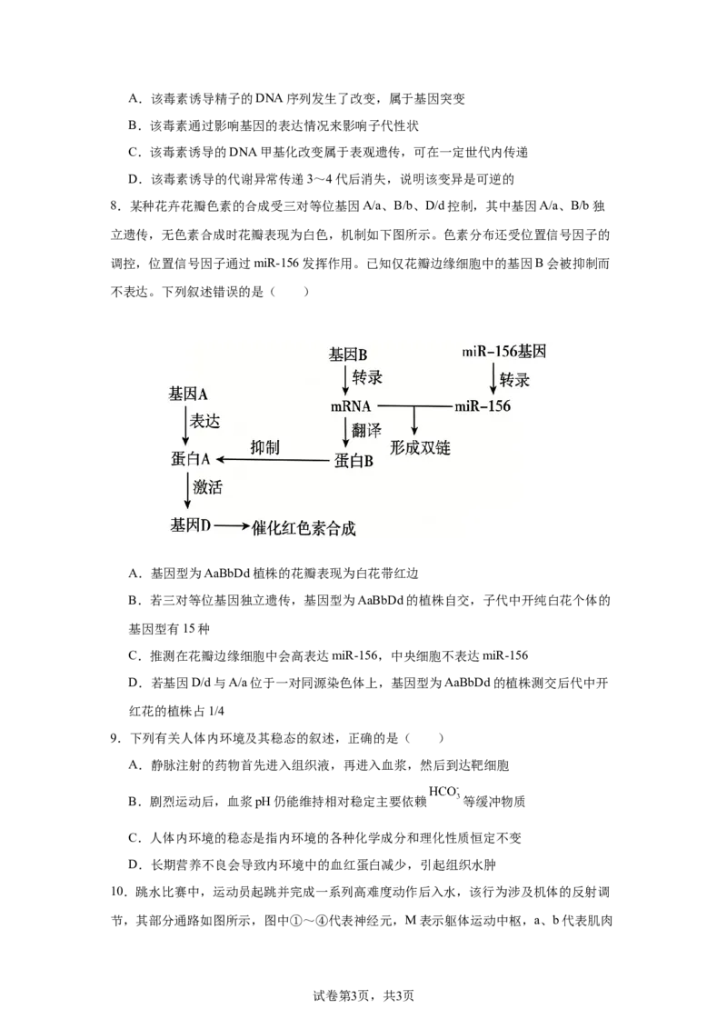 《河北张家口市2026届高三年级第二次模拟考试生物试卷_2024-2027高三（6-6月题库）_2026年05月高三试卷_260518河北张家口市2026届高三年级第二次模拟考试试卷》第3页预览