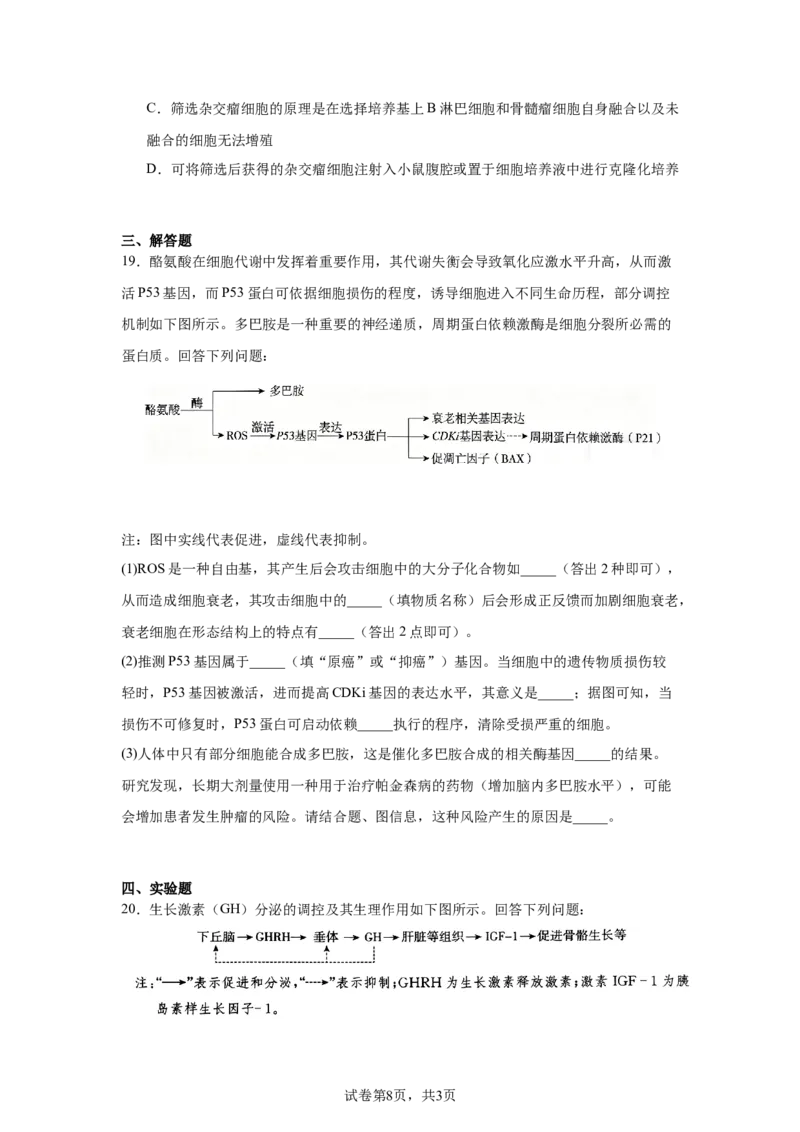《河北张家口市2026届高三年级第二次模拟考试生物试卷_2024-2027高三（6-6月题库）_2026年05月高三试卷_260518河北张家口市2026届高三年级第二次模拟考试试卷》第8页预览