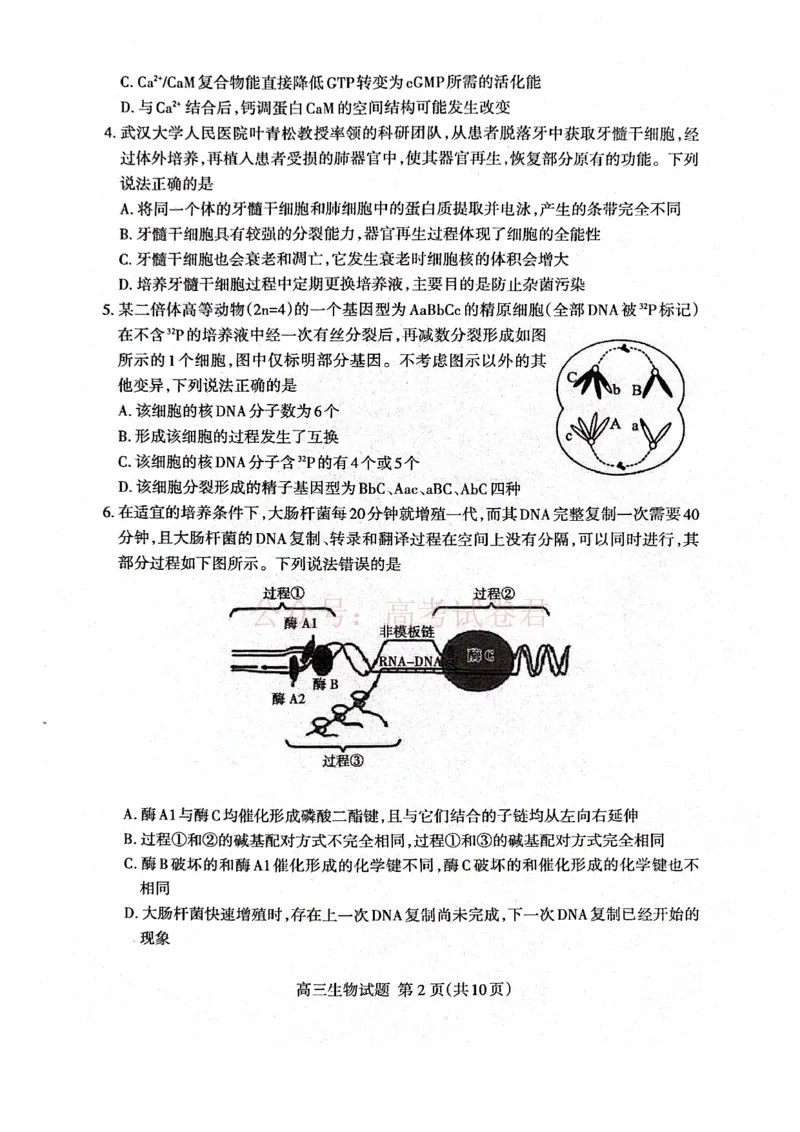 《生物试题_12.2026年4月全国各地高考模拟卷_2026年4月_山东泰安二模2026年山东省泰安市高三二模考试全科_06生物_山东省泰安市高三二模考试》第2页预览