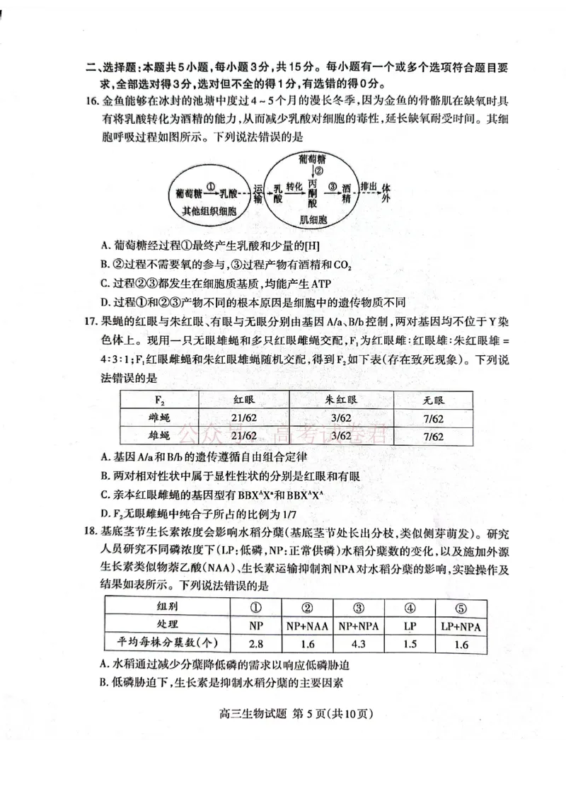 《生物试题_12.2026年4月全国各地高考模拟卷_2026年4月_山东泰安二模2026年山东省泰安市高三二模考试全科_06生物_山东省泰安市高三二模考试》第5页预览