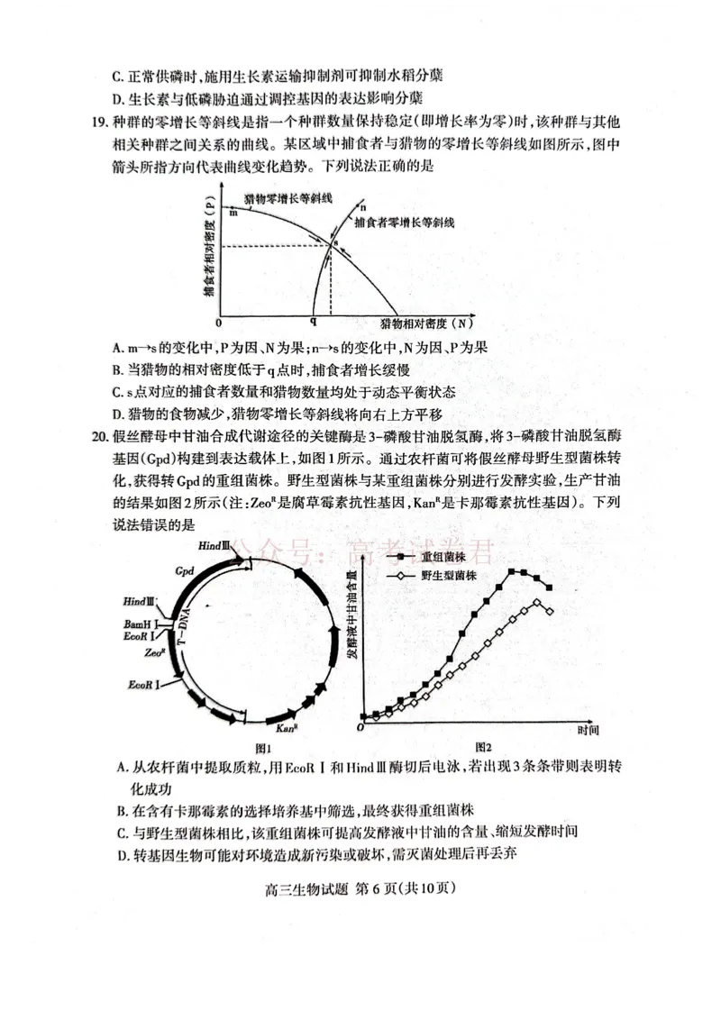《生物试题_12.2026年4月全国各地高考模拟卷_2026年4月_山东泰安二模2026年山东省泰安市高三二模考试全科_06生物_山东省泰安市高三二模考试》第6页预览