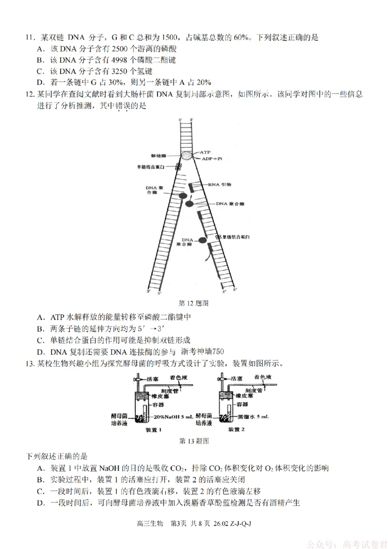 《生物卷-2602浙南七彩精诚金兰_12.2026年4月全国各地高考模拟卷_2026届浙江省高三2月返校联考（七彩浙南精诚金兰）》第3页预览