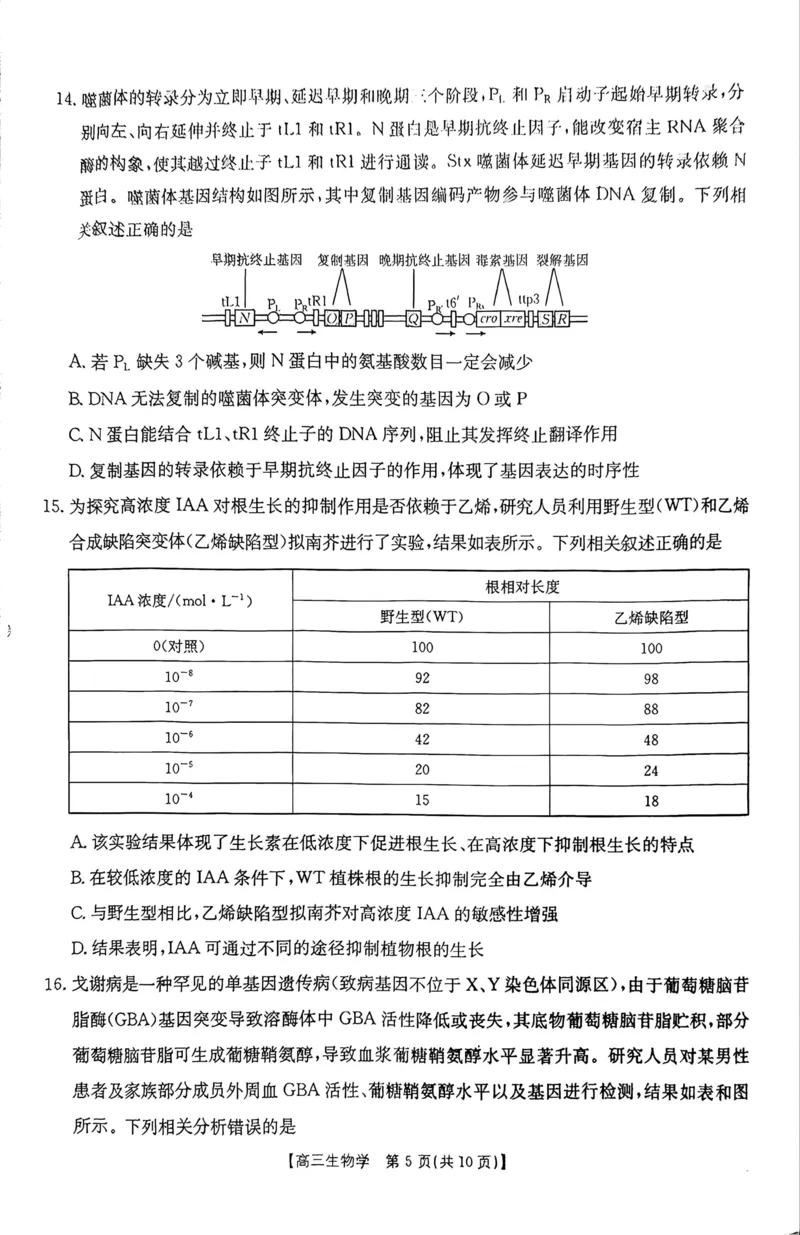 《河南省周口市高三年级第二学期四月份联考生物试题_2024-2027高三（6-6月题库）_2026年05月高三试卷_2605032026届河南省金太阳4月联考（全科）_生物2026届河南省金太阳4月联考》第5页预览