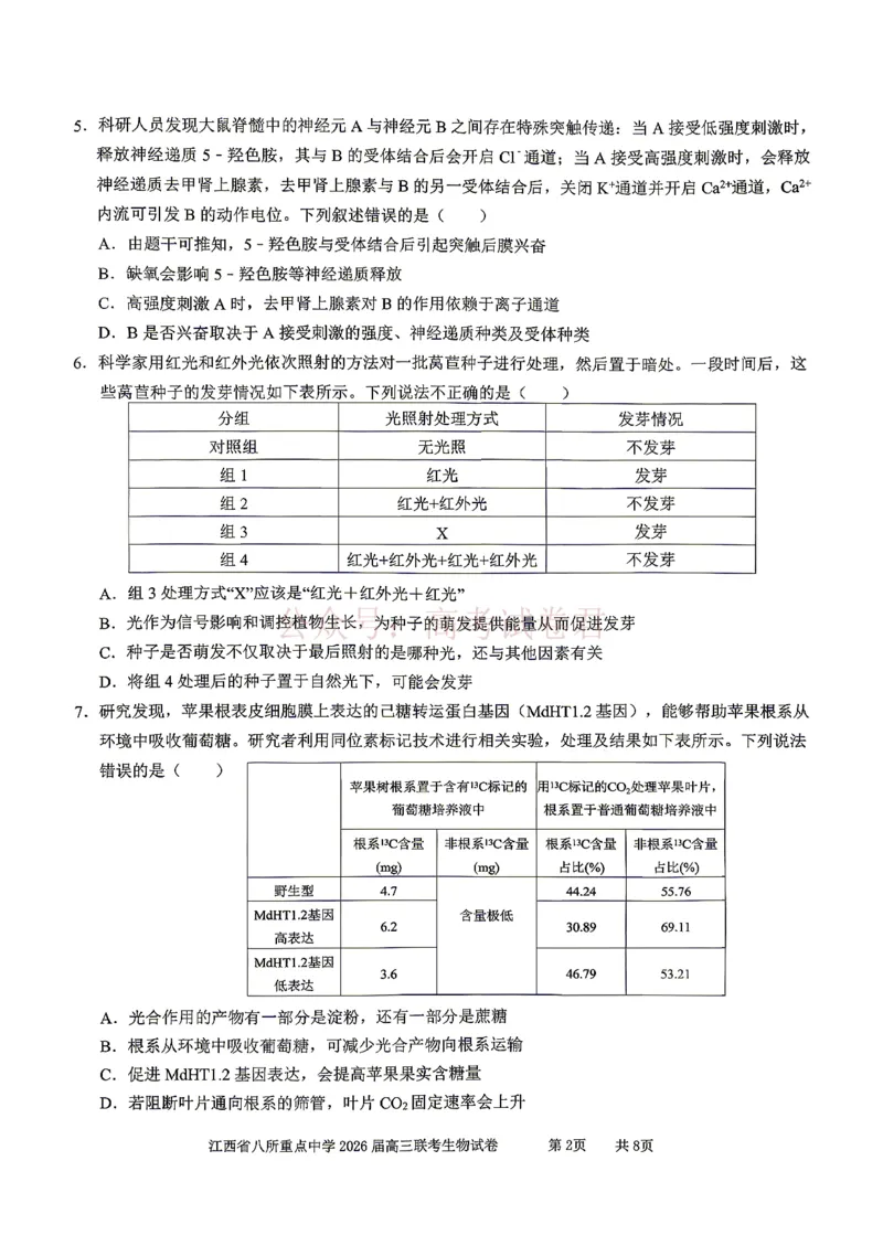 《江西省八所重点中学2026届高三联考生物_副本_12.2026年4月全国各地高考模拟卷_2026届江西省八所重点中学高三4月联考全科_06生物_江西省八所重点中学高三4月联考》第2页预览