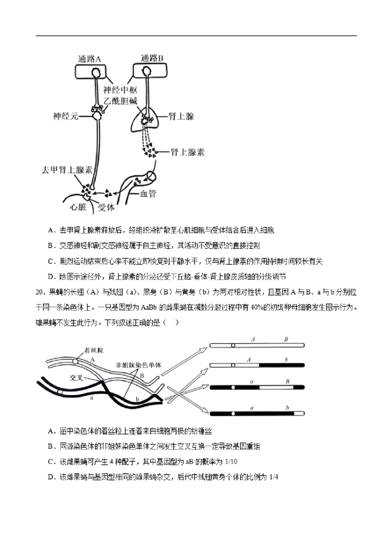 《浙江省金华市卓越联盟2025-2026学年高二下学期5月阶段检生物试卷（PDF版，含答案）_2024-2027高二（7-7月题库）_2026年06月高二试卷》第6页预览